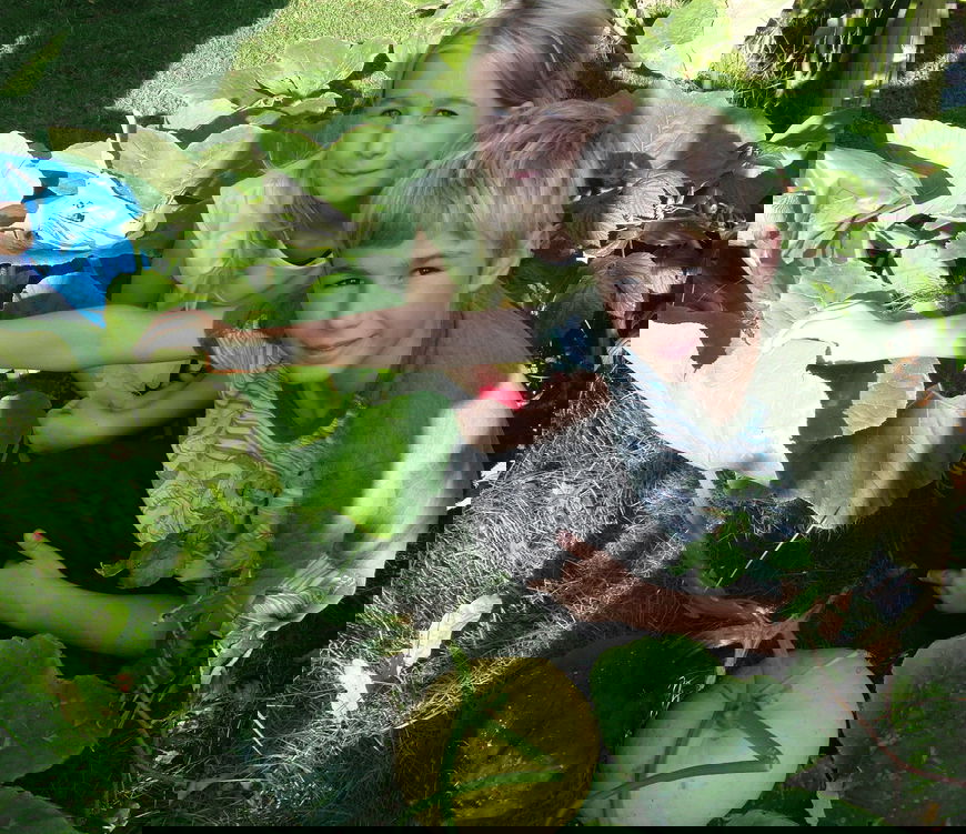 FREDERICIAS STØRSTE GRÆSKAR