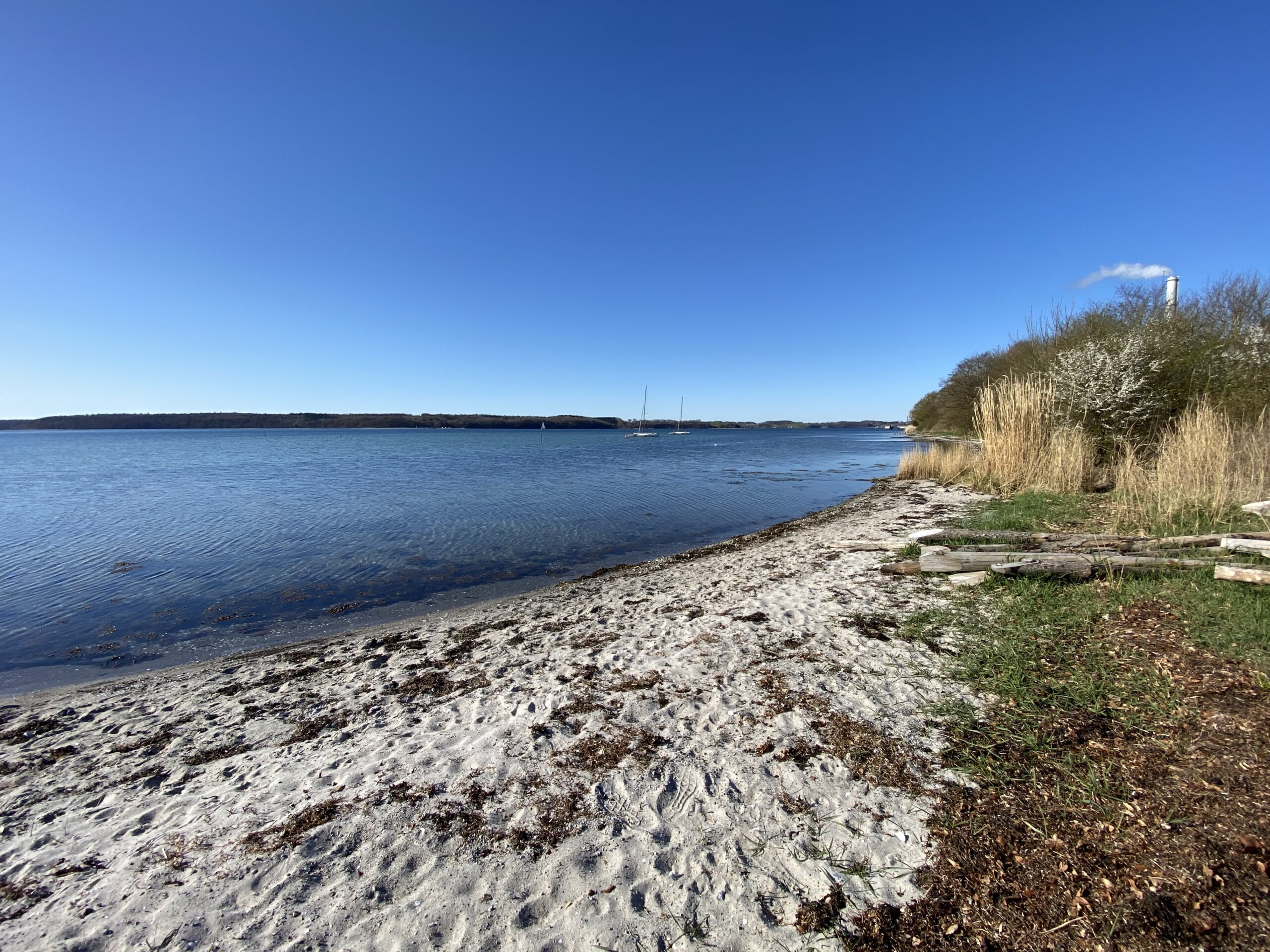 Skærbækværkets tilladelse til udledning i Kolding Fjord ophæves