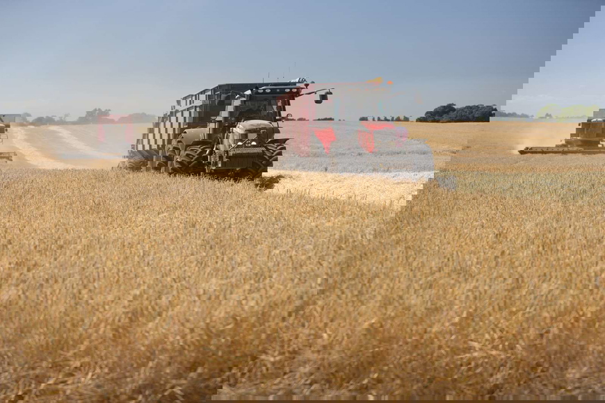 Høsten går ind i afsluttende sidste fase: Store udsving i gennemsnitlig høst