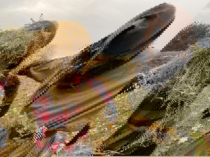 Halloween på volden trak mange besøgende til