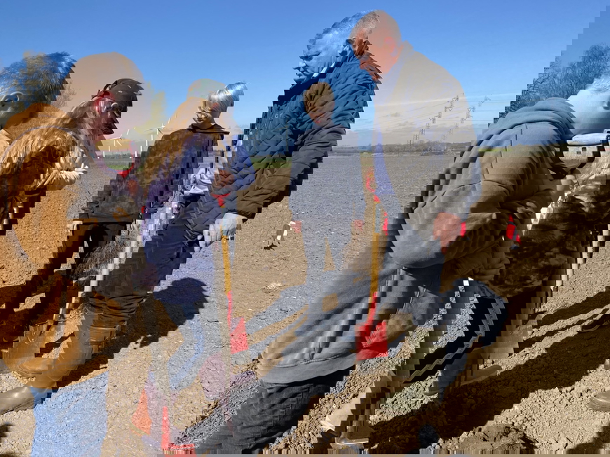 Nu får sommerfuglene mere plads i Fredericia