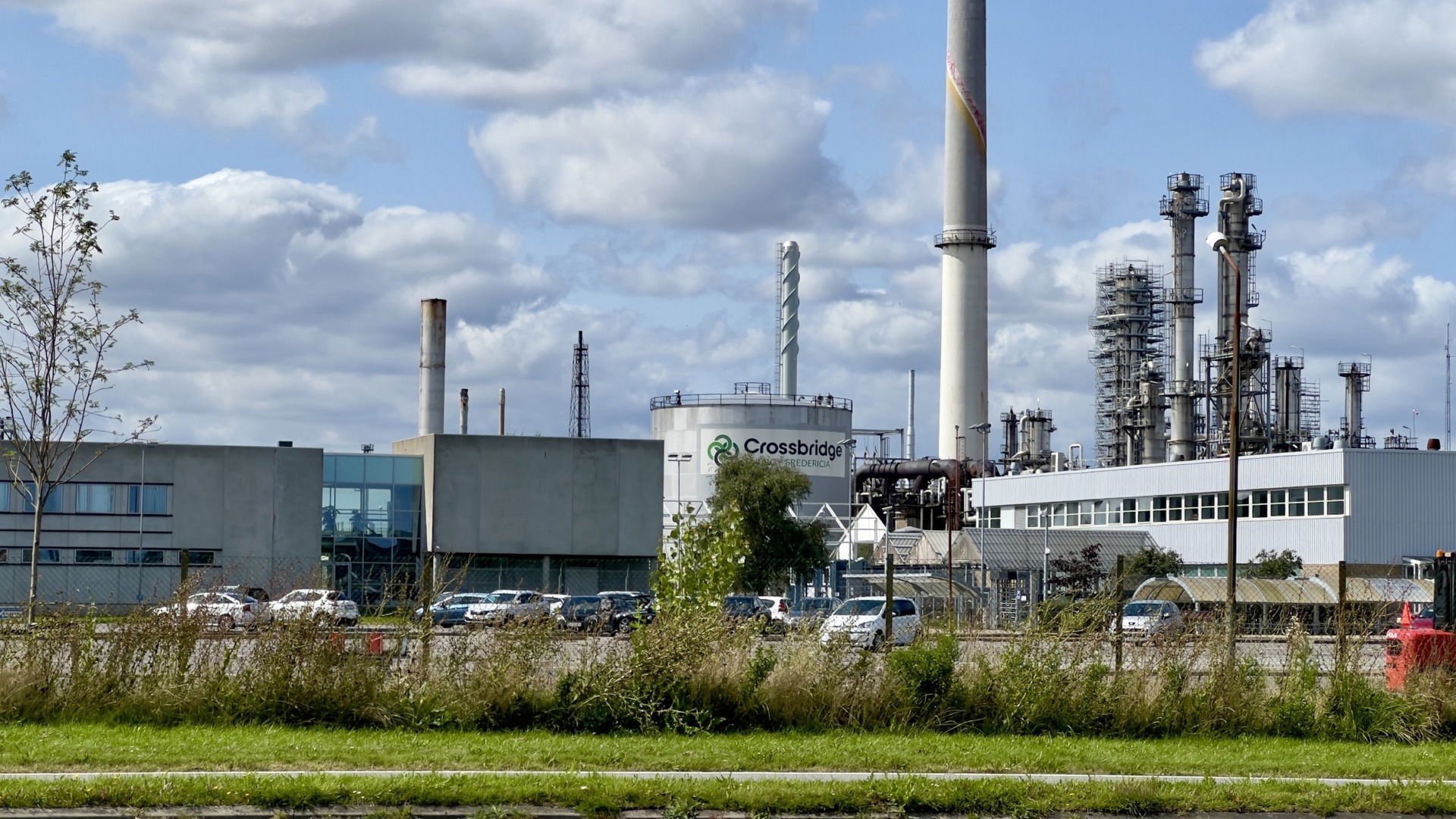 Slut med at fyre for gråspurvene: Overskudsvarme fra industrien skal udnyttes bedre 