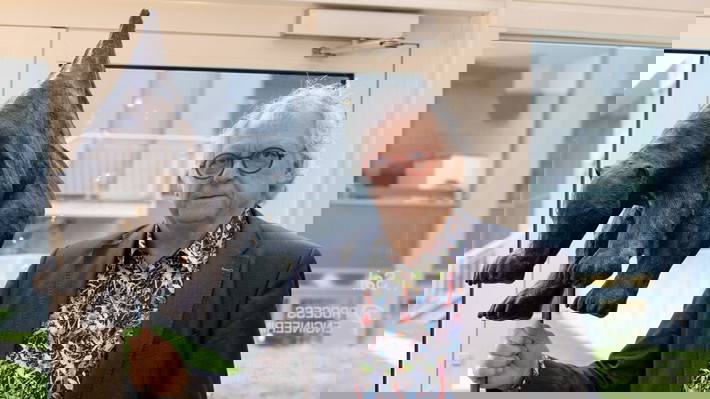 Process Engineering nomineret til vigtig kulturpris 2025