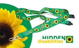 Region Syddanmark bliver en del af Solsikkeprogrammet